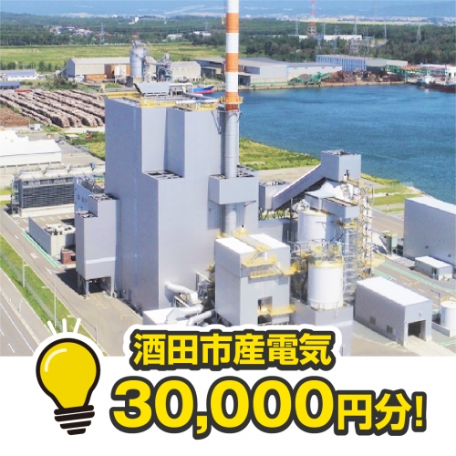 SED0003　酒田産電気　30,000円相当分 170224 - 山形県酒田市