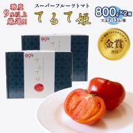 [ 先行予約 ] てるて姫 小箱 約800g × 2箱 [7〜13玉/1箱] 糖度9度 以上 野菜 フルーツトマト フルーツ トマト とまと [AF039ci]
