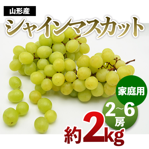 【ご家庭用】山形のシャインマスカット 優品 約2kg(2～6房)[9月中旬～10月中旬発送]【令和8年産先行予約】FS24-578 170546 - 山形県山形市