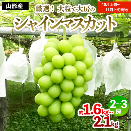 厳選！大粒で大房のシャインマスカット 秀品 2～3房入り（約1.6kg～2.1kg）[後半]【令和8年産先行予約】FS24-667 170551 - 山形県山形市