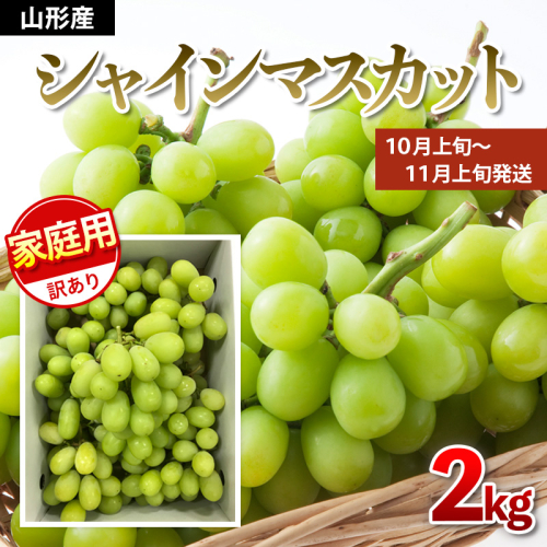 【ご家庭用】シャインマスカット 2kg入り 1箱 [後半]【令和8年産先行予約】FU21-632 170552 - 山形県山形市