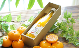 三ケ日みかんの代表品種「青島」を使った果汁100％ストレートジュースです。 濃厚な味とコクのあるうまみに定評のあるブランドみかん。旬の時期にそのまま絞って作りました。外皮を丁寧に手作業で剥いてからジュ