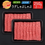 「3D冷凍」JAこゆ牛 ウデしゃぶしゃぶ(250g×2パック) 4等級 A4ランク 牛肉 ローカルブランド牛【C354】