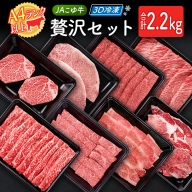 「3D冷凍」JAこゆ牛 贅沢セット 合計2.2kg ヒレ モモ カルビ ステーキ 焼肉 4等級 A4ランク【F104】