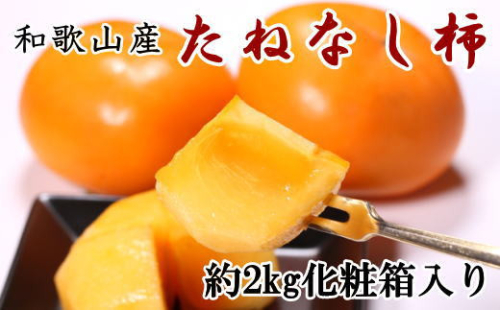 ［秋の味覚］和歌山産たねなし柿2L～4Lサイズ 約2kg（化粧箱入り）★2026年9月中旬頃より順次発送［TM39］ 170883 - 和歌山県上富田町