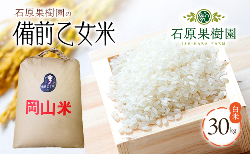 米 令和7年産 石原果樹園の備前乙女米 白米 30kg×1袋 ※11月上旬～順次発送予定 お米 精米 白米 ライス  乳酸菌栽培 岡山県 おにぎり お弁当  170895 - 岡山県瀬戸内市