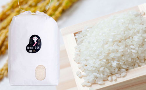 米 令和7年産 石原果樹園の備前乙女米 白米 10kg×1袋 ※11月上旬～順次発送予定 お米 精米 白米 ライス  乳酸菌栽培 岡山県 おにぎり お弁当  170898 - 岡山県瀬戸内市