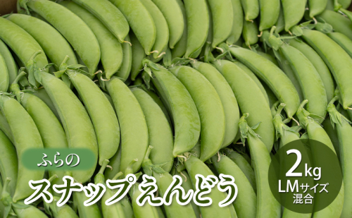 【2025年夏発送】ふらの スナップえんどう 2kg LMサイズ混合 バラ 北海道 富良野市 野菜 新鮮 直送 スナップえんどう 道産 ふらの 送料無料 数量限定 先着順 1709014 - 北海道富良野市