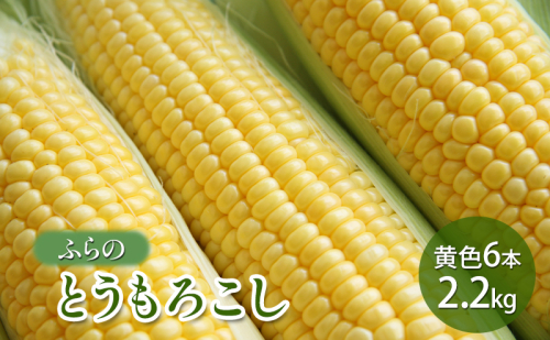 【2025年夏発送】ふらの とうもろこし 黄色 6本 2.2kg 北海道 富良野市 野菜 コーン とうきび イエロー 新鮮 直送 道産 ふらの 送料無料 数量限定 先着順 1709015 - 北海道富良野市