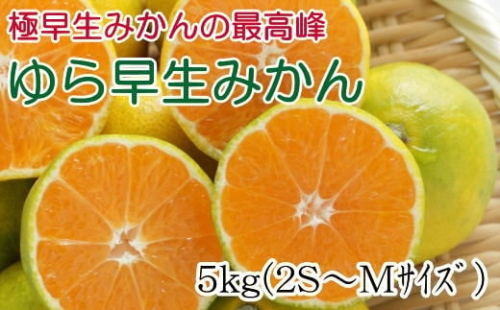［極早生みかんの逸品］和歌山県産ゆら早生みかん約5kg★2026年10月中旬頃より順次発送［TM120］ 170904 - 和歌山県上富田町