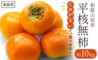 ◆先行予約◆和歌山県産 平核無柿＜ご家庭用＞約10kg【2022年10月上旬以降発送】