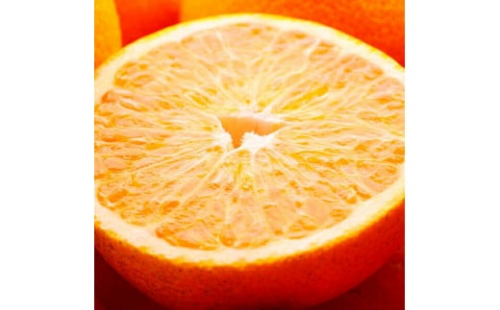 厳選 はっさく10kg+250g（傷み補償分）［八朔みかん］［光センサー選別］［IKE27］ 170945 - 和歌山県上富田町