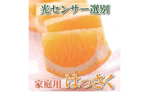 ［先行予約］家庭用 はっさく10kg+250g（傷み補償分）【八朔みかん】【訳あり・わけあり】［IKE30］ 170949 - 和歌山県上富田町