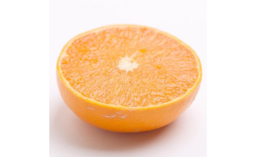 ［先行予約］家庭用 せとか5kg+250g（傷み補償分）［柑橘・春みかんの王様］［わけあり・訳あり］［光センサー選果・食べ頃出荷］［IKE63］ 170952 - 和歌山県上富田町