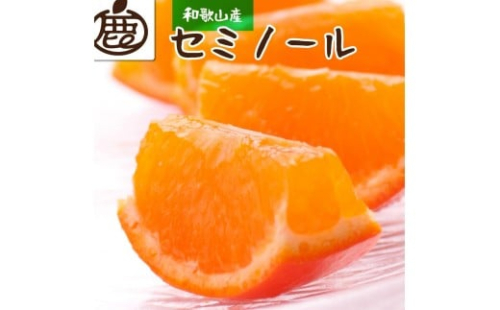 厳選 セミノールオレンジ10kg+250g（傷み補償分）［春みかん］［有田産］［光センサー食べ頃出荷］［IKE154］ 170958 - 和歌山県上富田町