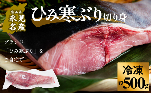 【先行予約】ひみ寒ぶり約500g（切り身）＜冷凍でお届け＞ 富山県 氷見市 ひみ寒ぶり 寒鰤 ブリ 期間限定 切り身 ブロック 1709636 - 富山県氷見市