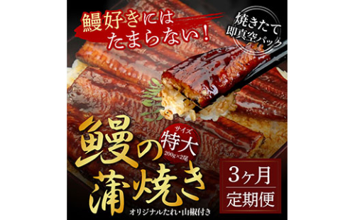 t120kgp　《3ヵ月定期便》人気惣菜 本気の高知ブランド鰻「西岡うなぎ」～特上（特大サイズ）～うなぎの蒲焼き2尾セット（約400g）タレ・山椒付き｜ウナギ 国産 特産品 鰻の蒲焼き 高知県産 土佐 グルメ 蒲焼 焼きたて 丼 うな重 ひつまぶし〈田野町共通返礼品〉 171215 - 高知県芸西村