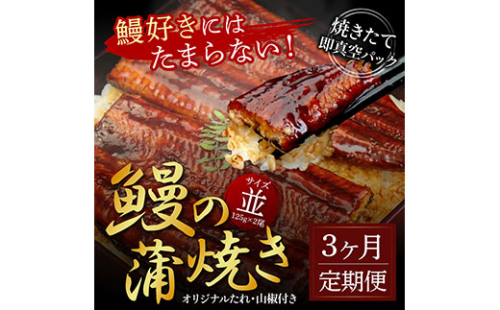 t118kgp　《3ヵ月定期便》人気惣菜 本気の高知ブランド鰻「西岡うなぎ」～並（並サイズ）～うなぎの蒲焼き2尾セット（約250g）タレ・山椒付き｜ウナギ 国産 特産品 鰻の蒲焼き 高知県産 土佐 グルメ 蒲焼 焼きたて 丼 うな重 ひつまぶし〈田野町共通返礼品〉 171218 - 高知県芸西村