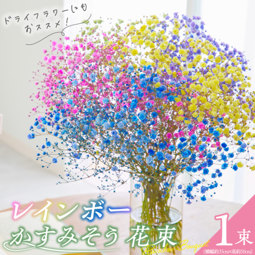 【佳花園】レインボーかすみそう 花束［156K03］ 1712458 - 愛知県小牧市