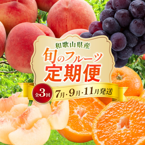 〈定期便〉【7・9・11月 全3回】産直・和歌山フルーツ（桃・ピオーネ・有田みかん）※北海道・沖縄・離島への配送不可 1712983 - 和歌山県美浜町