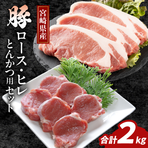 宮崎県産豚『とんかつ用』セット(合計2kg) 肉 豚 豚肉 国産_T041-010
 1713598 - 宮崎県都農町