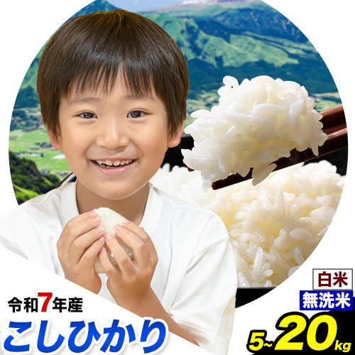 無洗米 も 選べる こしひかり 白米 or 無洗米 選べる精米方法 内容量 5kg 10kg 15kg 20kg 白米 精米 無洗米 熊本県産(南阿蘇村産含む) 単一原料米 南阿蘇村《7-14日以内に出荷予定(土日祝除く)》 1714192 - 熊本県南阿蘇村