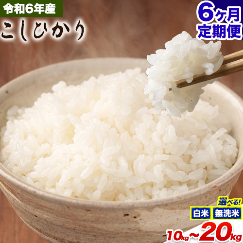【6ヶ月定期便】令和6年産 無洗米 も 選べる 定期便 こしひかり 白米 or 無洗米 選べる精米方法 定期便 内容量 10kg15kg 20kg 白米 精米 無洗米 熊本県産(南阿蘇村産含む) 単一原料米 南阿蘇村《申込み翌月から発送》 1714194 - 熊本県南阿蘇村