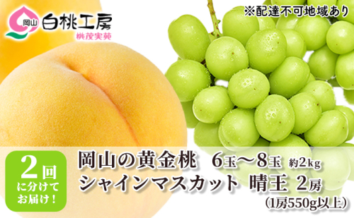 桃 ぶどう 2025年 先行予約 黄金桃 2kg シャインマスカット 晴王 2房 1房550g以上 2回に分けてお届け！もも 葡萄 定期便 岡山 国産 フルーツ 果物 ギフト 桃茂実苑  171445 - 岡山県赤磐市