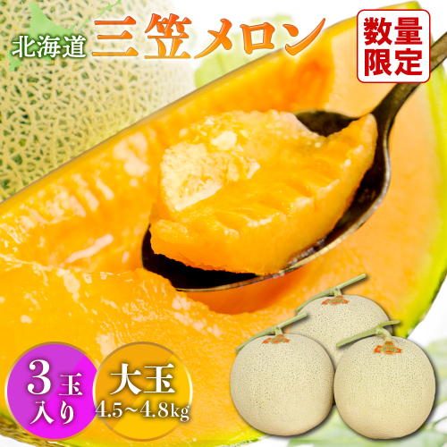 《2026年分受付中》大玉！とろける食感と甘い香り北海道三笠メロン3玉入（4.5kg～4.8kg）【0100203】 171467 - 北海道三笠市
