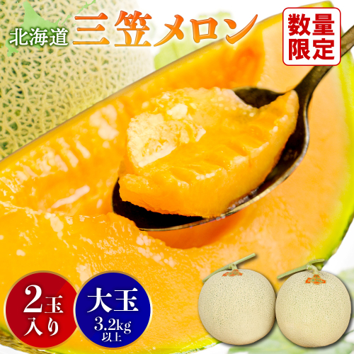 《2026年分受付中》大玉！とろける食感の北海道三笠メロン2玉入(3.2kg以上)【0106202】 171475 - 北海道三笠市