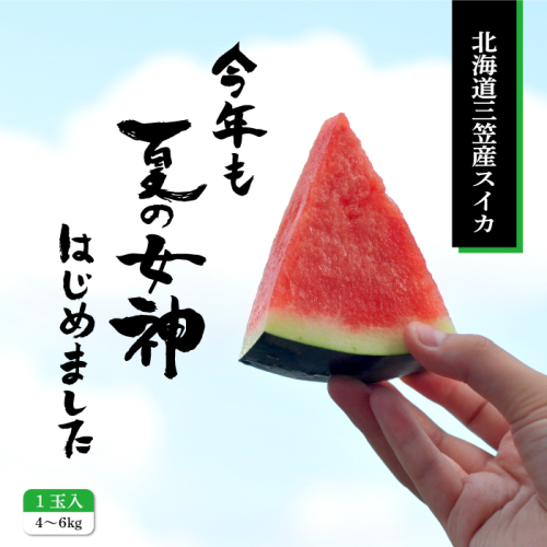 《2026年分受付中》『夏の女神』種が少なくて甘い黒皮スイカ1玉入（中玉4～6kg）【01005】 171479 - 北海道三笠市