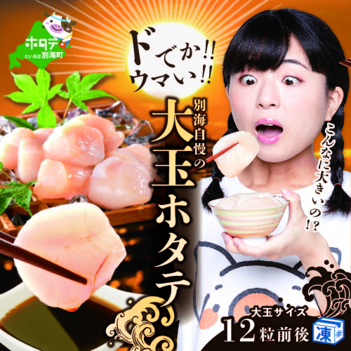 ドでかウマいぞっ! 【野付産 大玉ホタテ 15粒前後】大玉ほたて貝柱(冷凍)500g 171666 - 北海道別海町