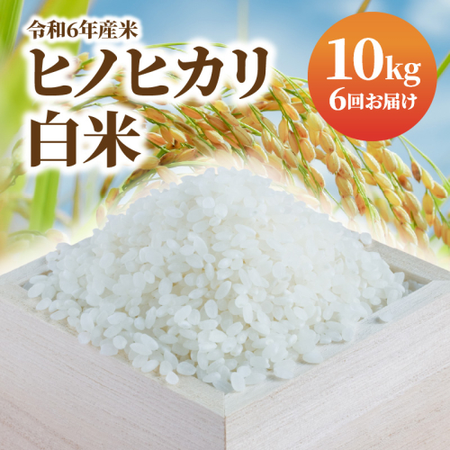 【6ヶ月定期便】白米10kg N0138-YF058 171881 - 宮崎県延岡市