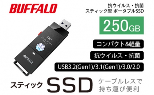 BUFFALO バッファロー スティック型 SSD 250GB 抗ウイルス・抗菌 テレビ 録画 USB 電化製品 家電 パソコン PC周辺機器 パソコン周辺機器 171889 - 愛知県日進市