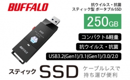 【ふるさと納税】BUFFALO バッファロー スティック型 SSD 250GB 抗ウイルス・抗菌 テレビ 録画 USB 電化製品 家電 パソコン PC周辺機器