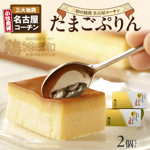 三和の純鶏名古屋コーチンたまごぷりん2個セット[052S03]
 171902 - 愛知県小牧市