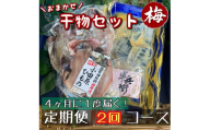 【4ヶ月に1回定期便2回】厳選！小田原の旬の干物セット 梅【 まぐろや 神奈川県小田原市 】