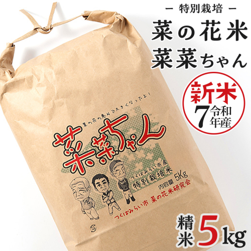 令和7年産 コシヒカリ ( 精米 5kg ) 特別栽培 菜の花米 「菜菜ちゃん」  米 こめ ごはん ご飯 白米 国産 茨城県産 新生活 プレゼント 新生活応援 必要なもの 便利 おすすめ 消耗品 一人暮らし 二人暮らし 必要 おいしい お土産 [H005-NT] 172166 - 茨城県つくばみらい市