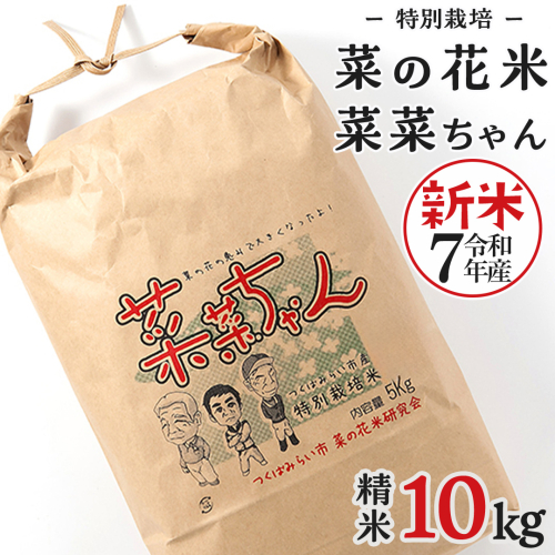 令和7年産 コシヒカリ ( 精米 10kg ) 特別栽培 菜の花米 「菜菜ちゃん」  米 こめ ごはん ご飯 白米 国産 茨城県産 新生活 プレゼント 新生活応援 必要なもの 便利 おすすめ 消耗品 一人暮らし 二人暮らし 必要 おいしい お土産 [H006-NT] 172168 - 茨城県つくばみらい市