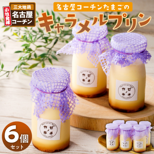 名古屋コーチンたまごのキャラメルプリン　6個セット［075K11］ 1723174 - 愛知県小牧市