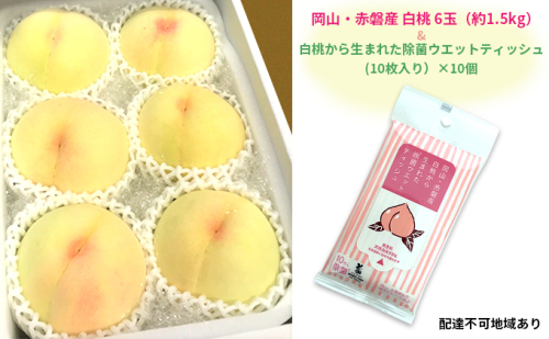桃 2025年 先行予約 岡山 赤磐産 白桃 6玉（約1.5kg）＆ 白桃から生まれた除菌ウエットティッシュ（10枚入り）×10個 果物 もも フルーツ  172328 - 岡山県赤磐市