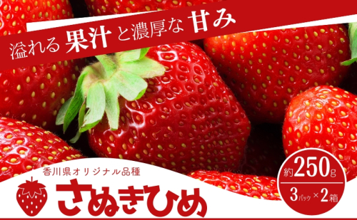 香川県オリジナル品種！　ご家庭用さぬきひめ苺　6パック 1723360 - 香川県東かがわ市