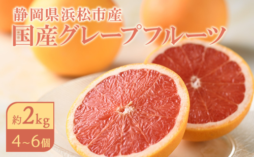 【2026年4月上旬より順次発送】 静岡県浜松市産グレープフルーツ約2kg（4〜6個） 果物 フルーツ 国産 静岡 浜松市 1723450 - 静岡県浜松市