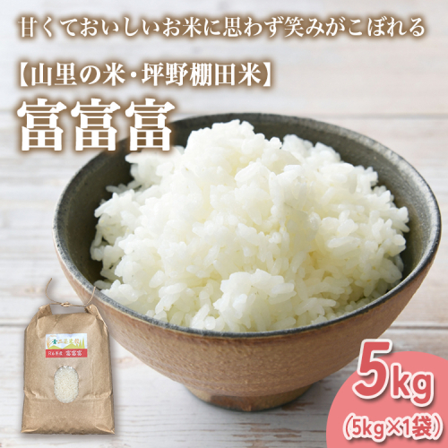 山の湧き水 寒暖差 山里 山里の米・坪野米 R8年産 富富富 5kg ｜ふふふ 新米 こめ コメ お米 おこめ 白米 精米 香り うまみ あまみ  自慢 高品質 富山 魚津　※北海道・沖縄・離島への配送不可 ※2026年9月～発送 1723526 - 富山県魚津市