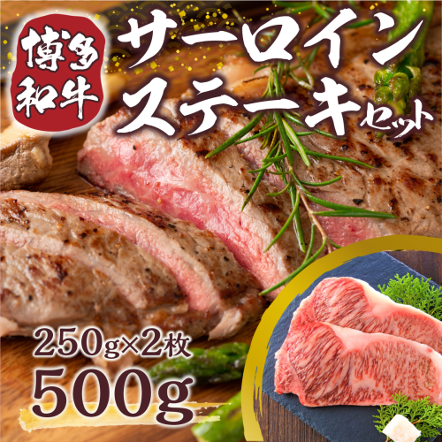 博多和牛 サーロイン ステーキ 250g 2枚 計500g  [MEAT PLUS 福岡県 宇美町 um40azp010004] 牛肉 サーロインステーキ 肉 和牛 172357 - 福岡県宇美町