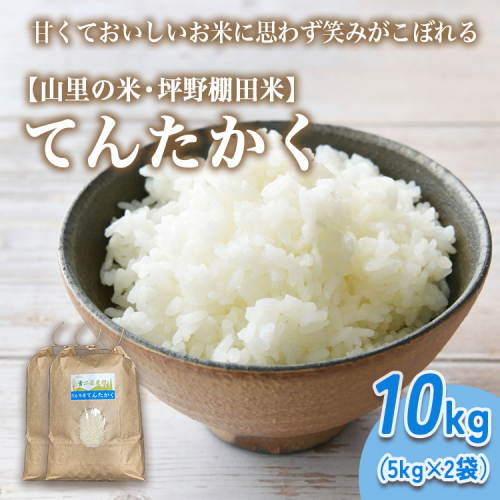 山の湧き水 寒暖差 山里 山里の米・坪野米 R8年産 てんたかく 10kg（5kg×2）｜ 新米 こめ コメ お米 おこめ 白米 精米 お弁当 おにぎり 香り うまみ あまみ 富山 魚津　※北海道・沖縄・離島への配送不可 ※2026年9月～発送 1723656 - 富山県魚津市
