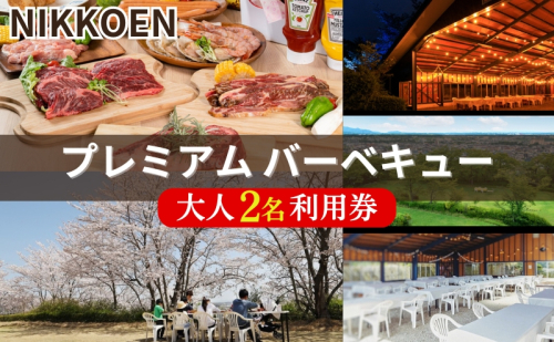 NIKKOEN プレミアム バーベキュー プラン 大人2名利用券[ 日光園 アウトドア 手軽 手ぶら 焼肉 ステーキ シーフード 魚介 家族 ファミリー ペア 花見 お花見 ] 1723658 - 兵庫県加東市