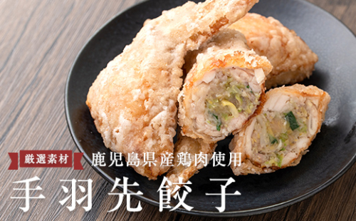A0-293 手羽先餃子 (10本)【一番鶏】 172402 - 鹿児島県霧島市