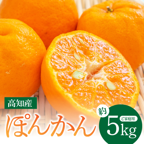 SKS027　訳あり “高知県産”ご家庭用ぽんかん（約5kg）〈須崎市共通返礼品〉みかん 農家直送 サイズ混合 有機質肥料100% ミカン 訳アリ ワケアリ 数量限定 172439 - 高知県芸西村