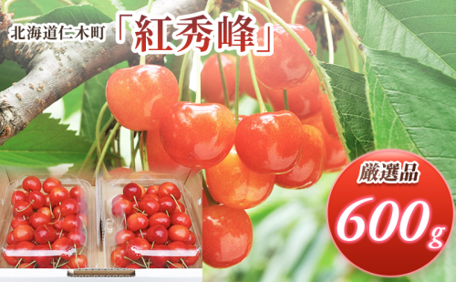 先行受付 北海道 仁木町産  さくらんぼ 紅秀峰 600g(300g×2パック) Lサイズ以上  旬 桜桃 産地直送 サクランボ チェリー フルーツ 果物 果物類  仁木町 仁木 [松山商店] 172576 - 北海道仁木町
